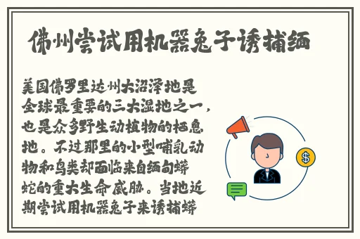 坐公交车最后一排跟陌生人做